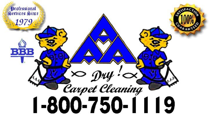 Avatar for Steam & Dry Carpet Cleaning