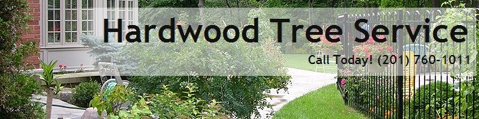 Logo for Hardwood Tree Svc