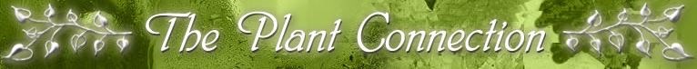 Logo for The Plant Connection