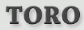 TORO LANDSCAPING & PAVING logo