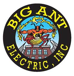 Logo for Big Ant Electric Inc