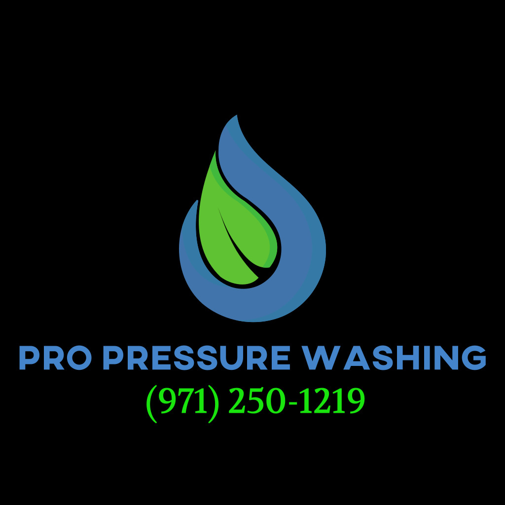 Logo for Pro Pressure Washing LLC