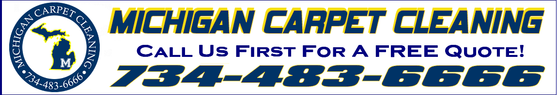 MICHIGAN CARPET CLEANING & RESTORATION INC logo