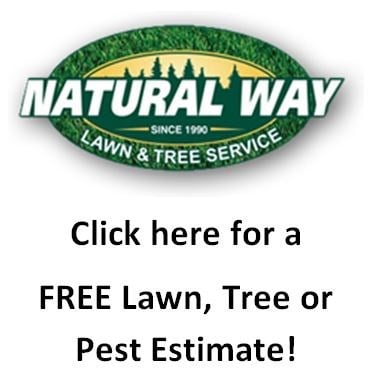 Avatar for Natural Way Lawn & Tree Service