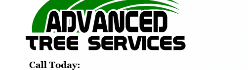 Avatar for Advanced Tree Services
