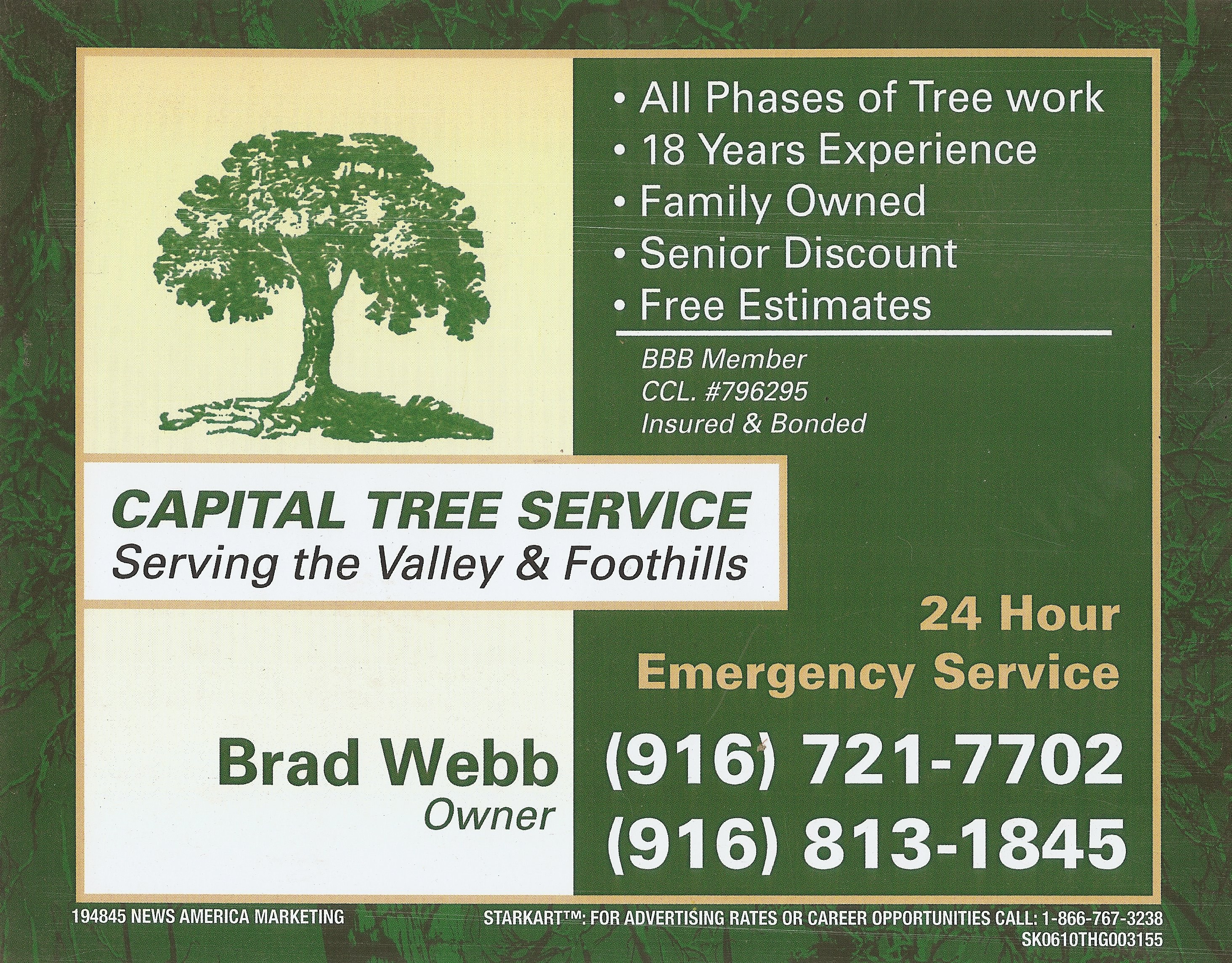 Logo for Capital Tree Service