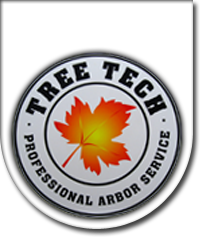 Logo for Tree Tech