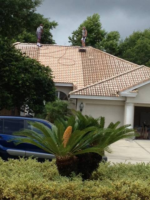 Avatar for Steve Morgan Pressure Washing & Painting