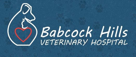 Logo for Babcock Hills Veterinary Hospital PC