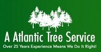 Logo for A Atlantic Tree Service
