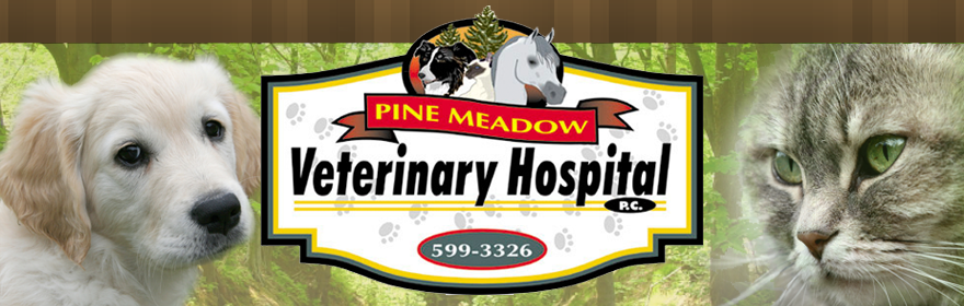Logo for Pine Meadow Veterinary Hospital