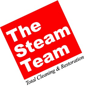 The Steam Team logo