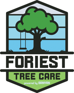 Foriest Tree And Lawn Care, LLP logo