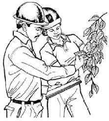 Logo for Robertsons Tree Service