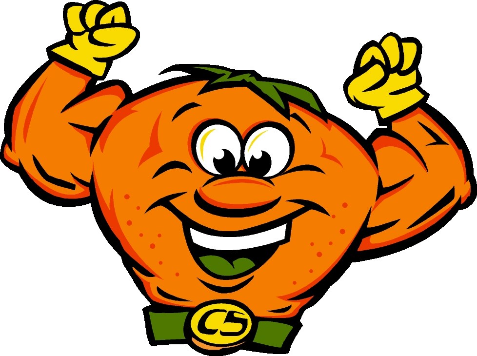 Logo for 1 Citrus Solution Carpet Cleaning