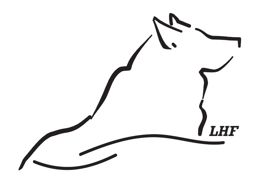 Logo for Lance's Hidden Fencing