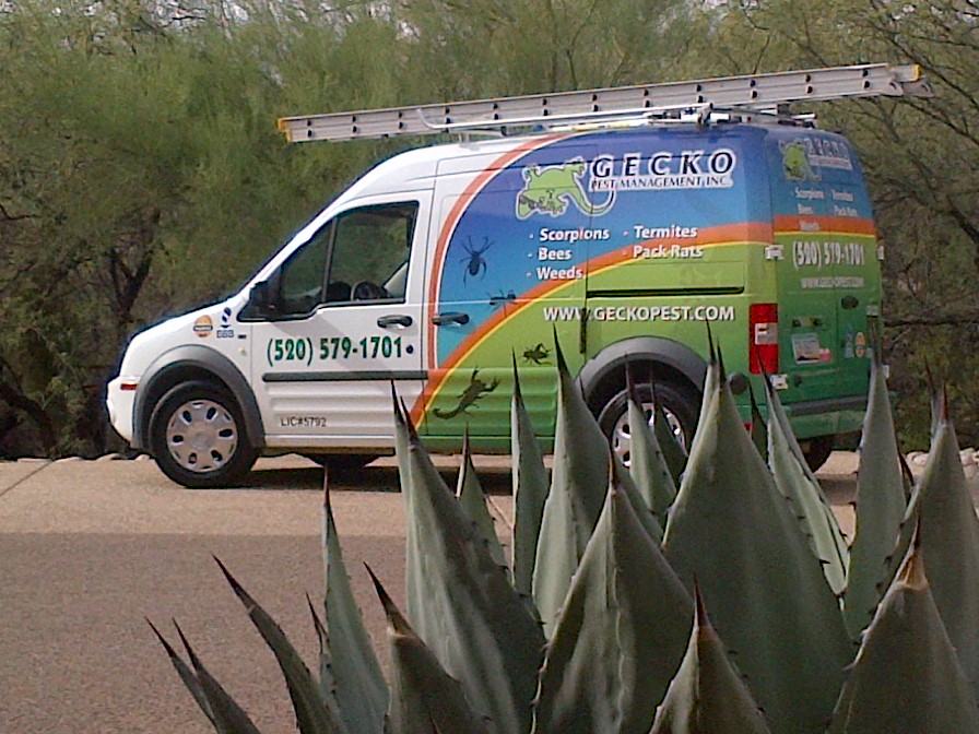 Logo for Gecko Pest Management