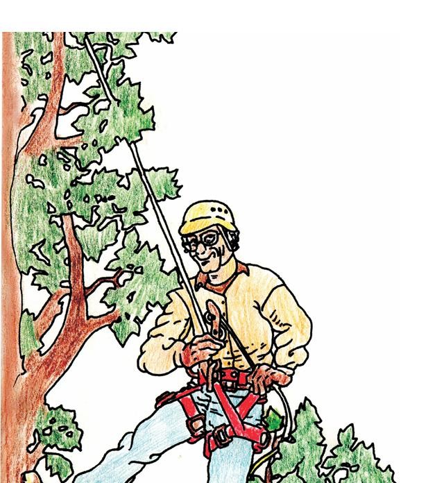 Logo for Quality Tree Service Inc