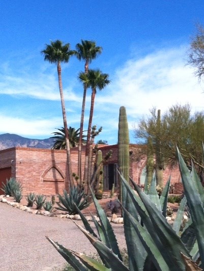 Avatar for Quality Tree Service Inc