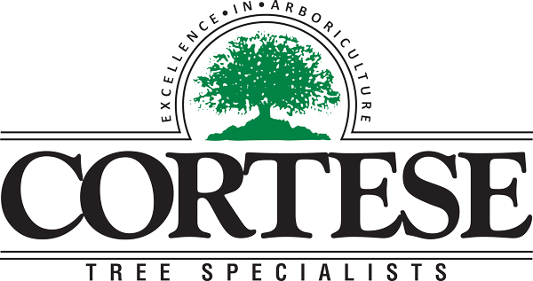 Logo for The Davey Tree Expert Company