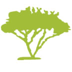 Logo for True View Windows & Glass (formerly Palo Verde Glass & Screen)
