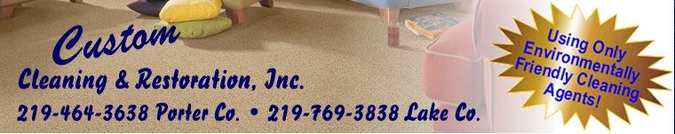 Avatar for Custom Cleaning & Restoration Inc