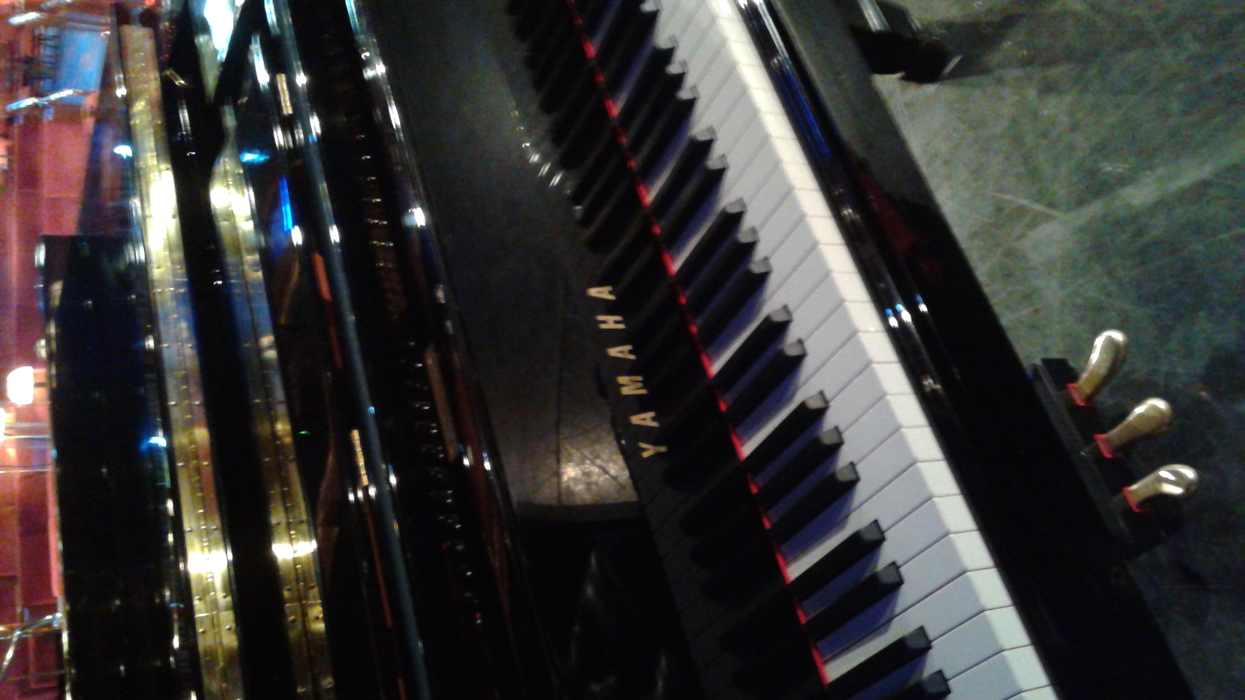 Logo for Acoustic Piano Tuning