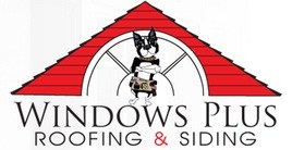 Windows Plus logo