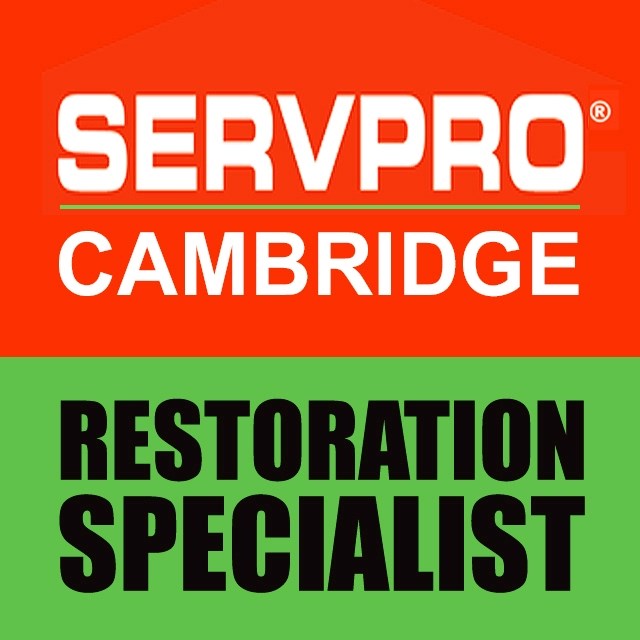 Servpro of Cambridge/Belmont logo