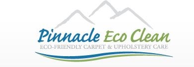 Logo for Pinnacle Eco Clean Inc.