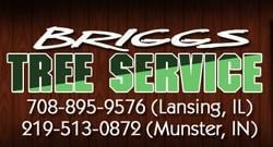 Avatar for Briggs Tree Service of Lansing