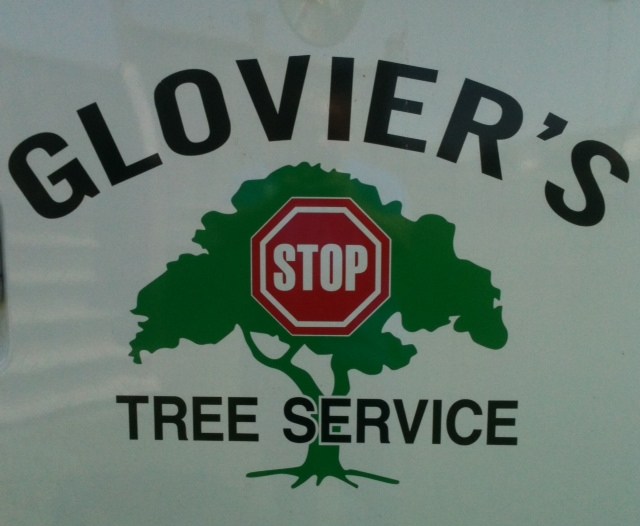 Logo for Glovier Tree Service