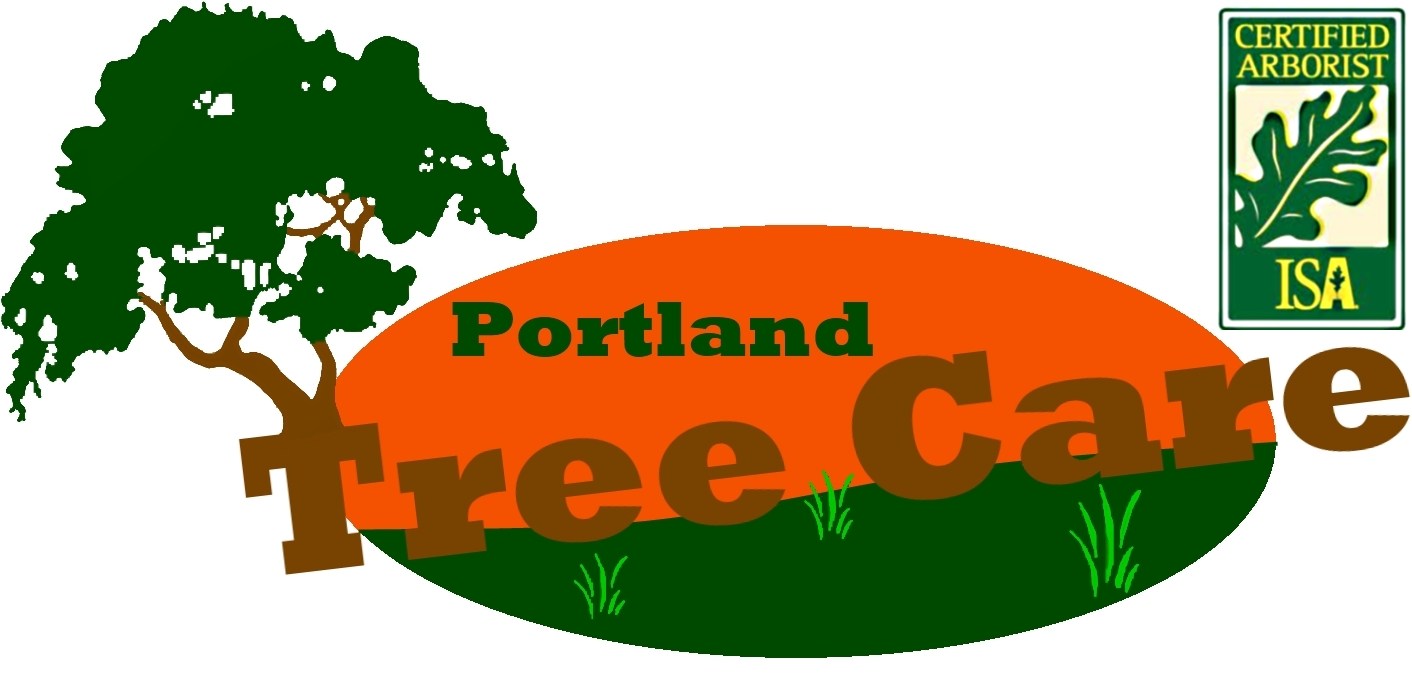 Avatar for Portland Tree Care LLC