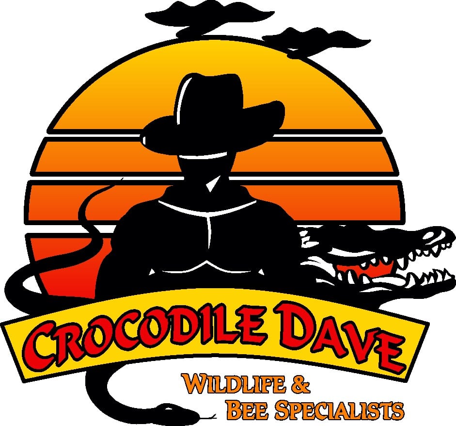 Avatar for Crocodile Dave Wildlife & Bee Specialists