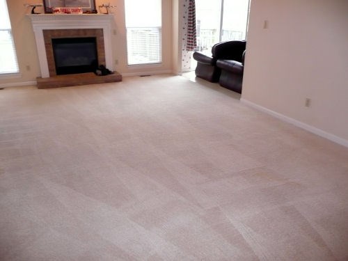 Logo for Coastal Carpet Cleaners
