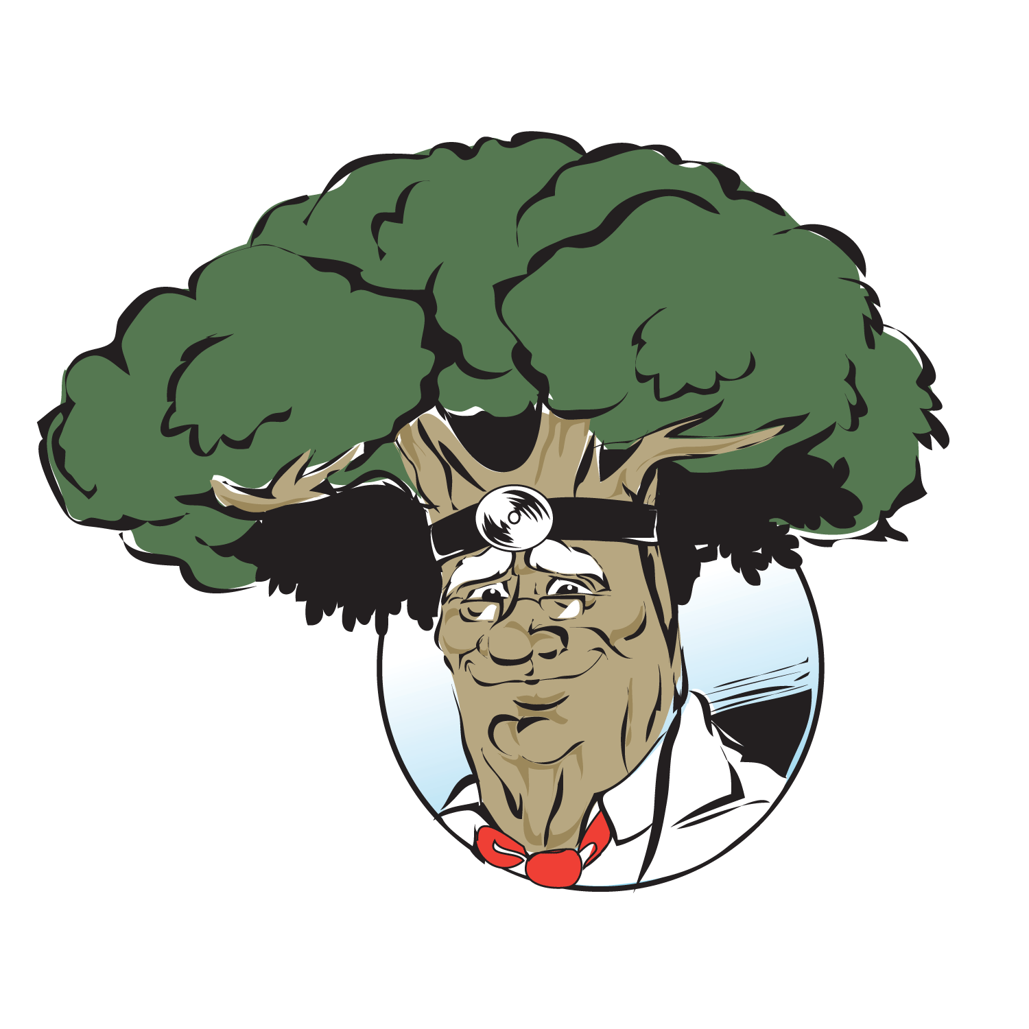 Logo for Dr. Tree and Landscape Specialist, Inc.
