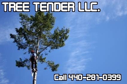 TREE TENDER logo