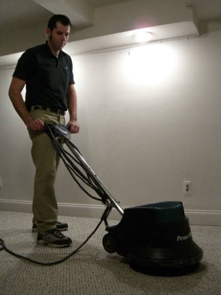 Logo for SHAMROCK CARPET & UPHOLSTERY CLEANING