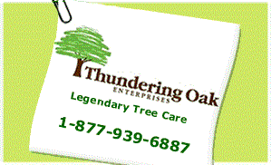Logo for THUNDERING OAK ENTERPRISES INC