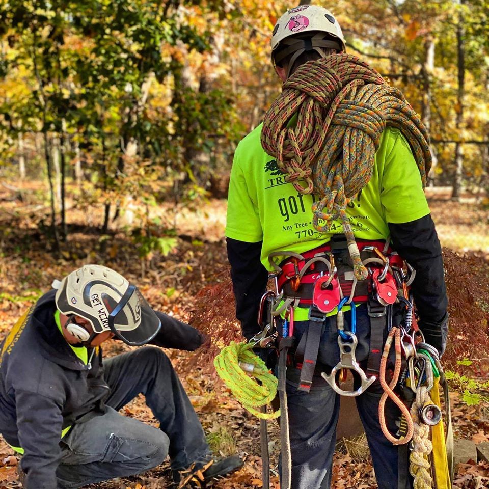 North American Tree Service Inc logo