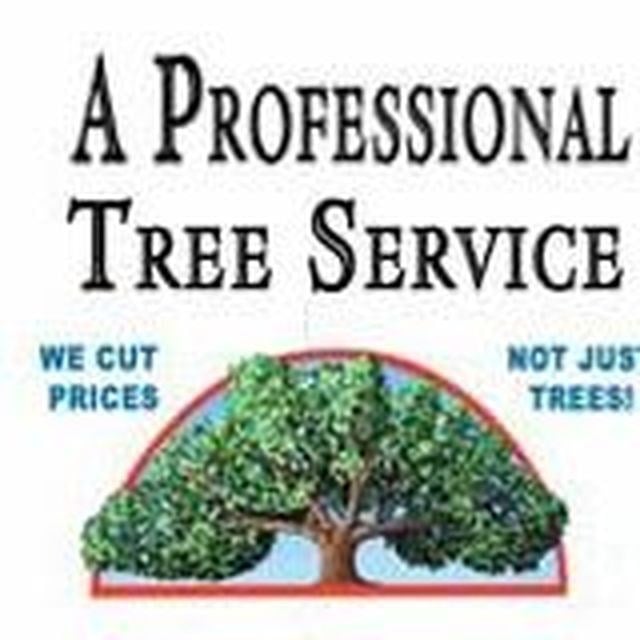 A Professional Tree Service logo