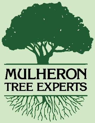 Logo for Mulheron Tree Experts