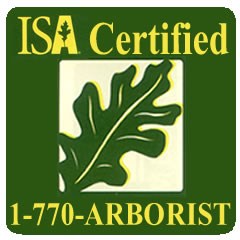 Logo for 770-Arborist