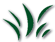 Logo for Spartan Lawn Care Inc