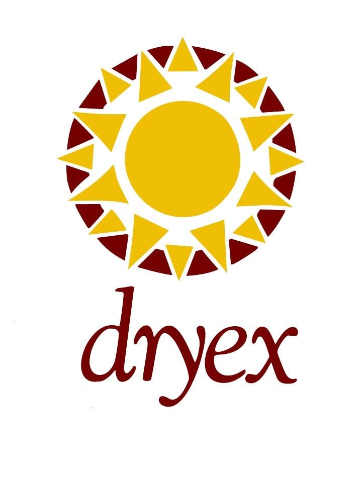 DRYEX logo