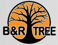 B&R Tree Care LLC logo