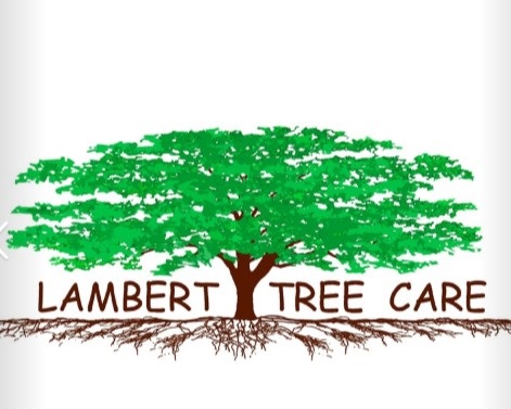 Logo for Lambert Treescapes LLC