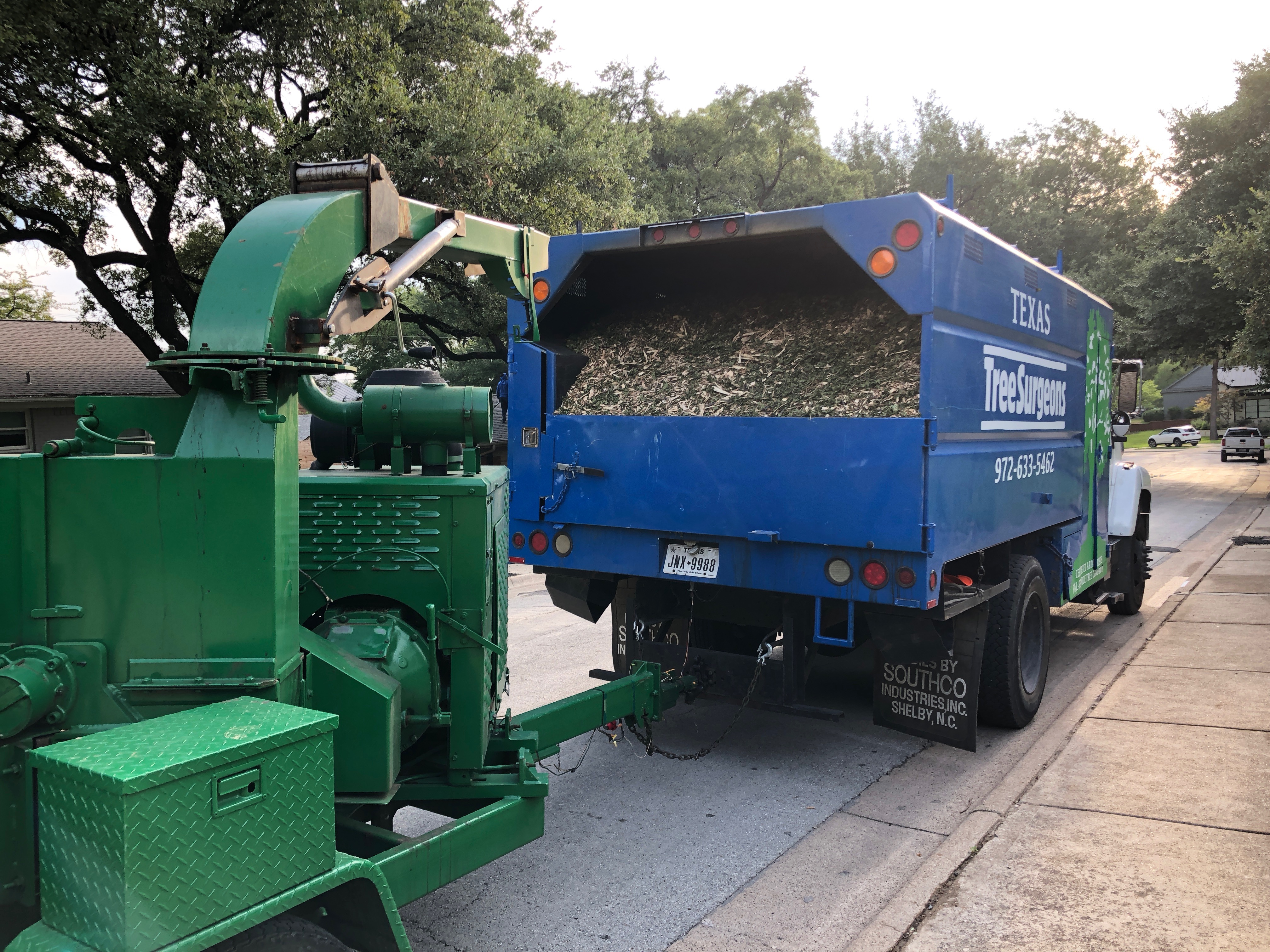 Logo for Texas Tree Surgeons