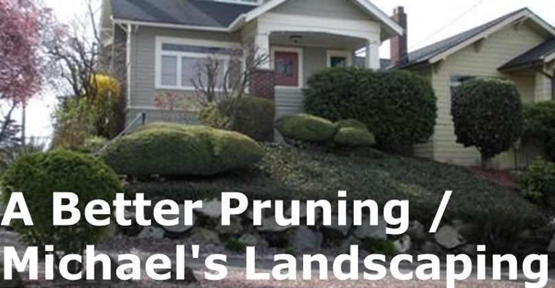 Michael's Landscaping-A Better Pruning logo