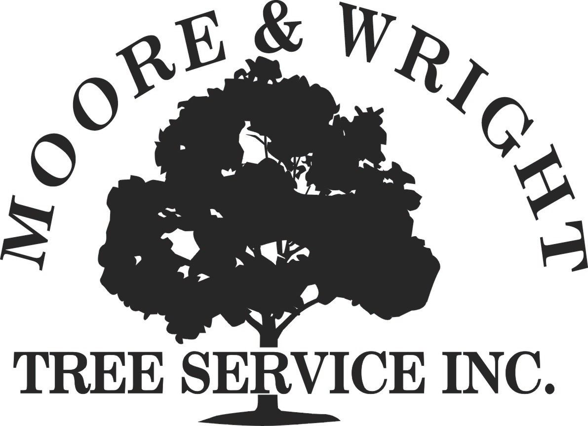 Logo for MOORE & WRIGHT TREE SERVICE